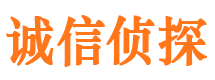 望城外遇调查取证